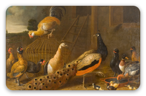 The Poultry Yard
