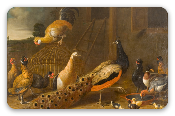 El corral de aves