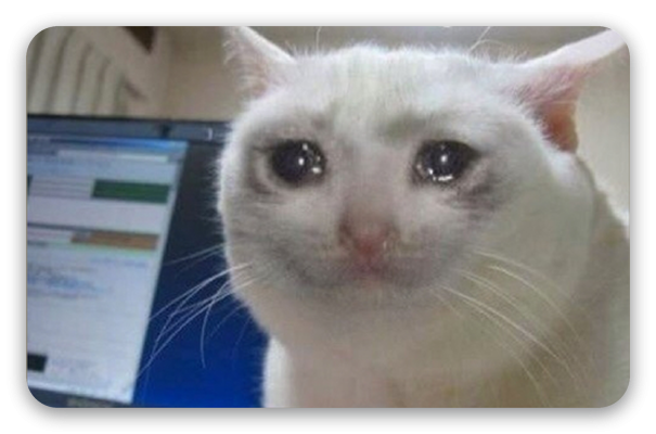 Gato llorón