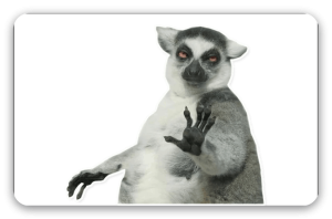 Lemur