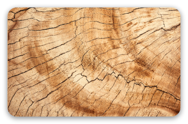 Madera