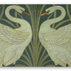 Cisnes