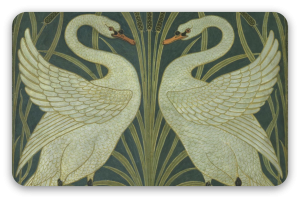 Cisnes