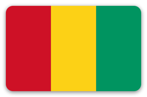 Guinea - pegatina para tarjeta