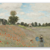 Amapolas