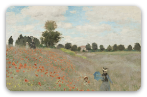 Amapolas