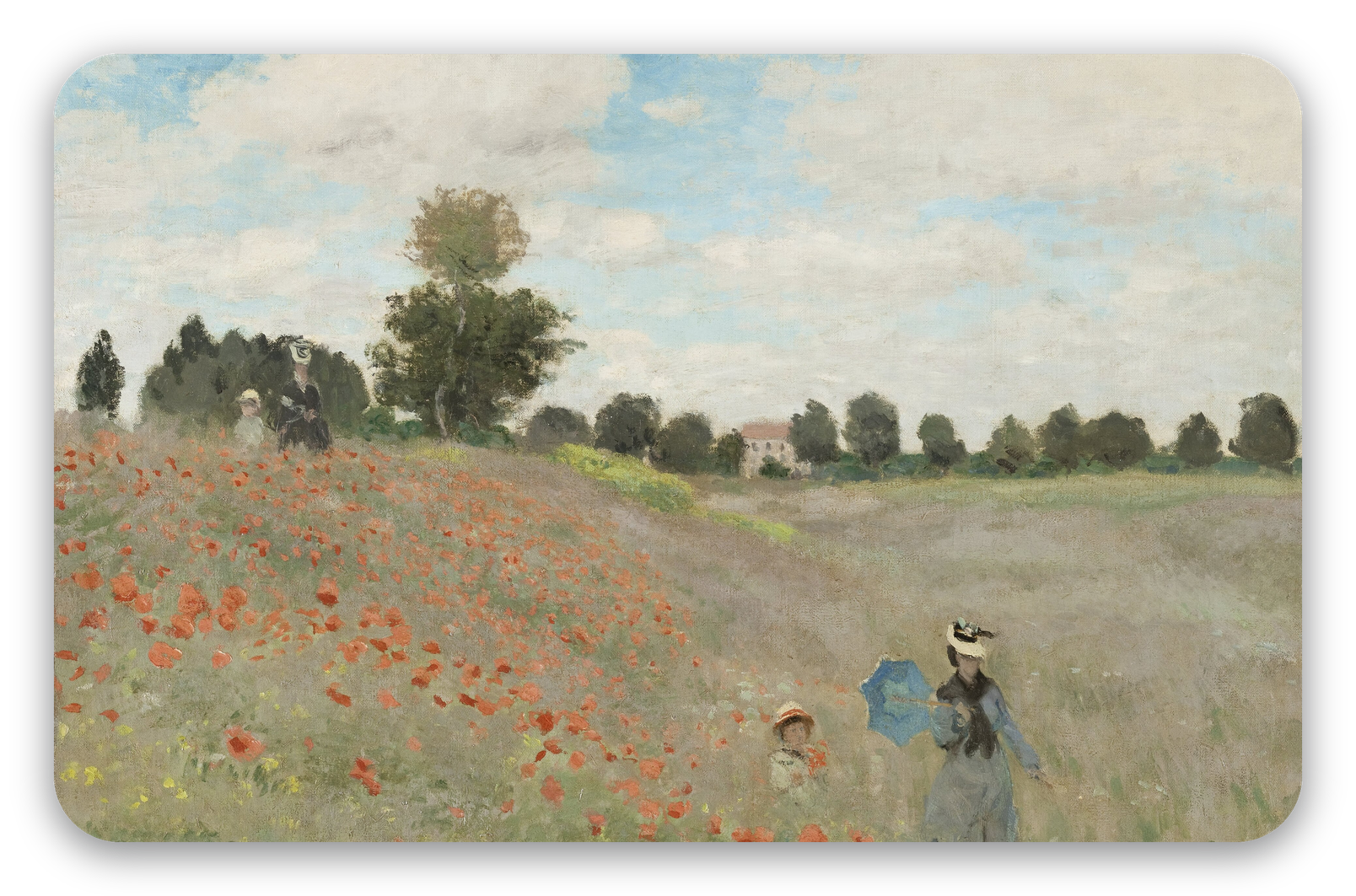 Amapolas