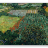 Campo de amapolas (junio de 1889)