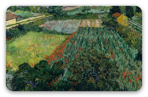 Campo de amapolas (junio de 1889)
