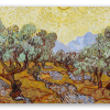 Olivos con cielo amarillo