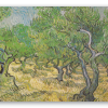 Olivos