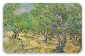 Olivos