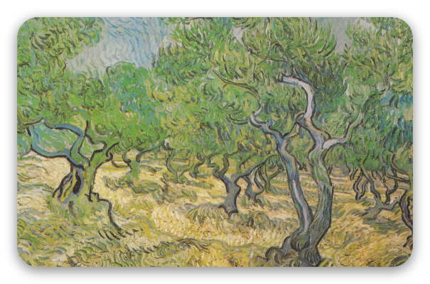 Olivos