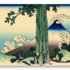 El paso de Mishima