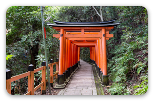 Los torii rojos de Kioto