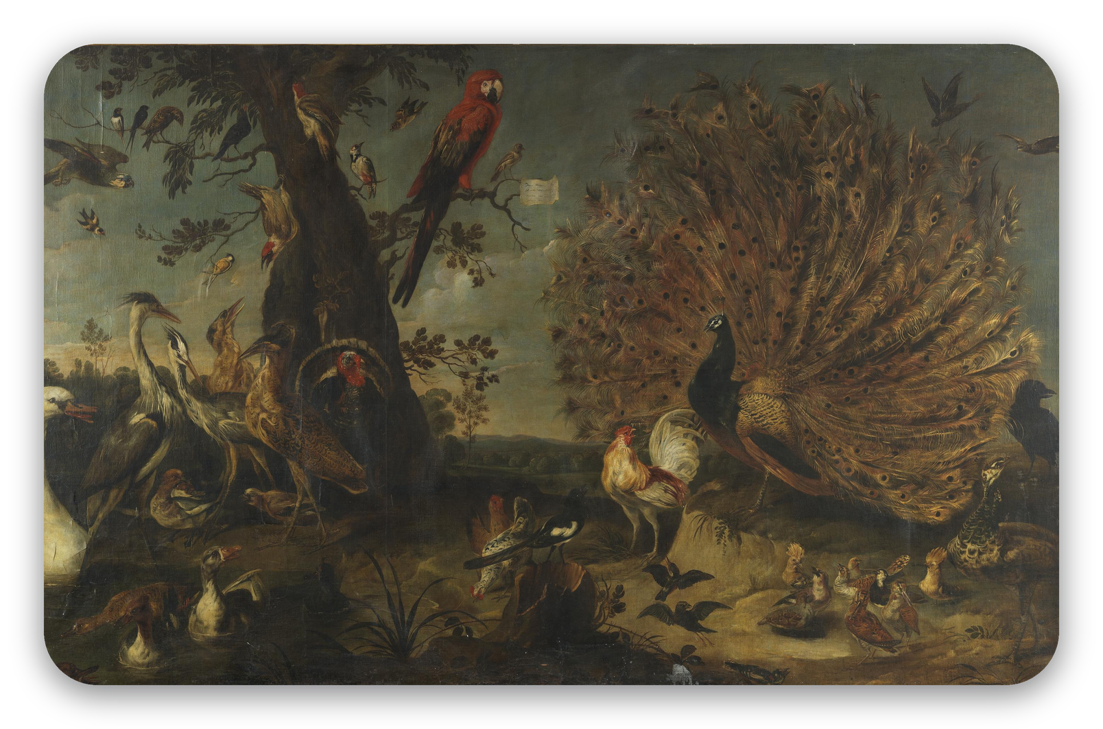 Concierto de aves