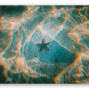 Estrella de mar
